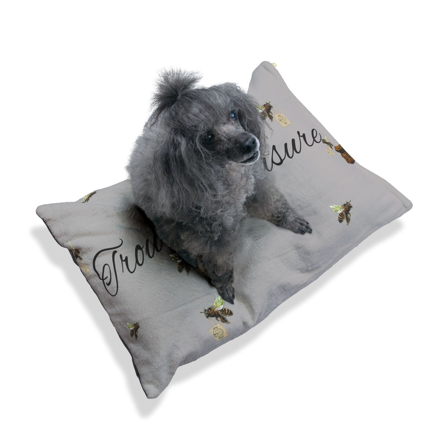 I’m a Trouthe Treasure - Pet Bed