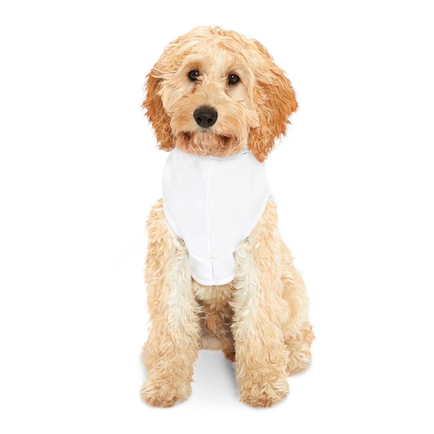 Professional human walker - Pet Hoodie