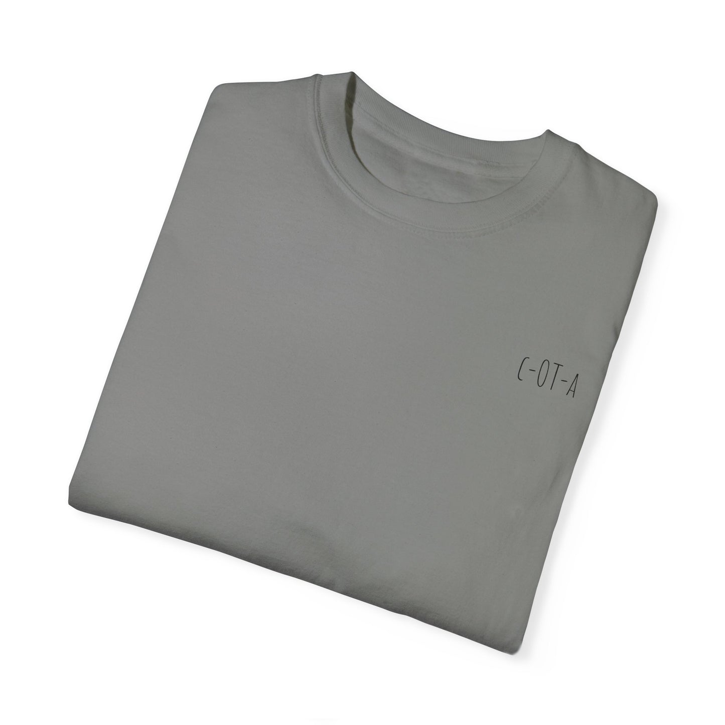 OTA assist - Unisex Garment-Dyed T-shirt