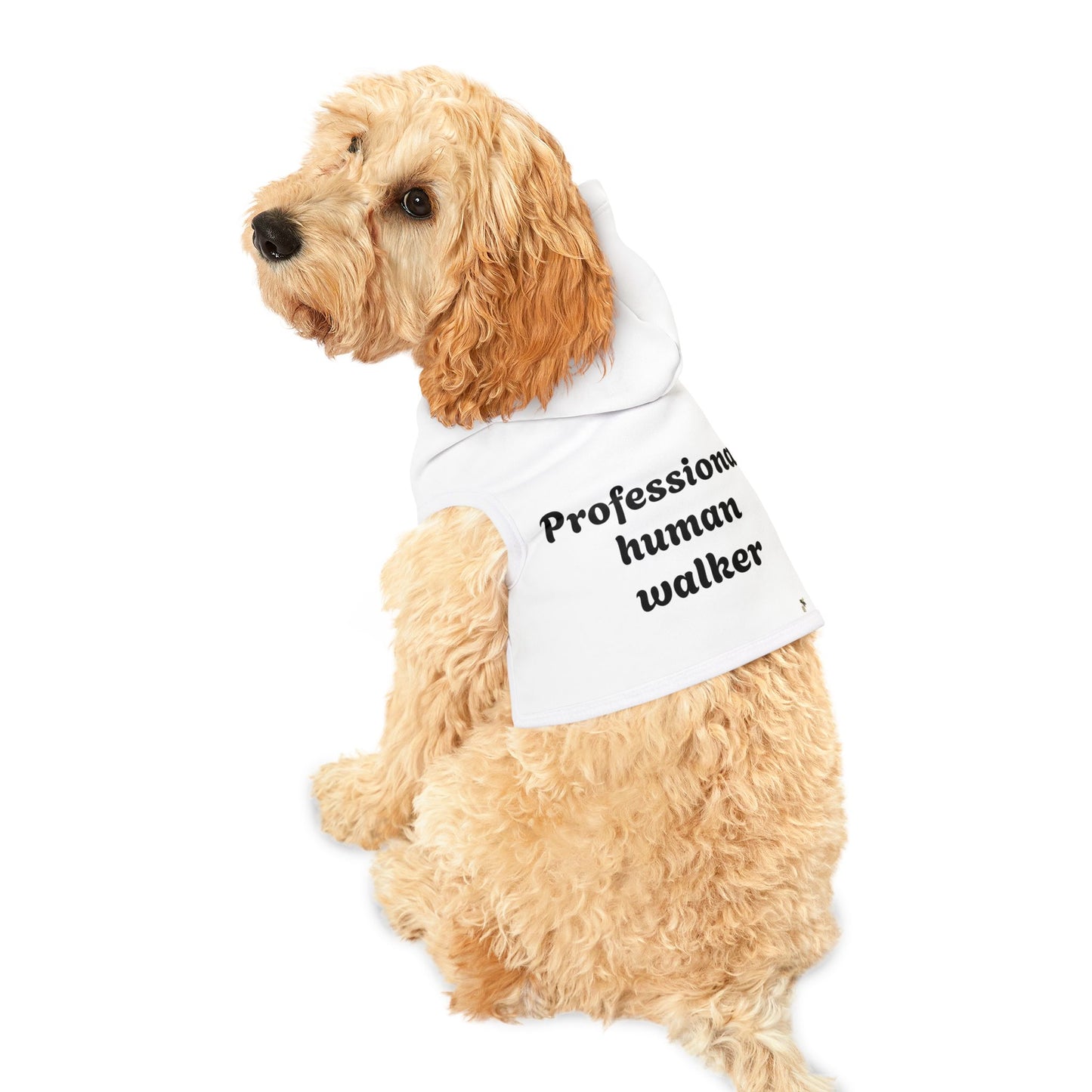 Professional human walker - Pet Hoodie