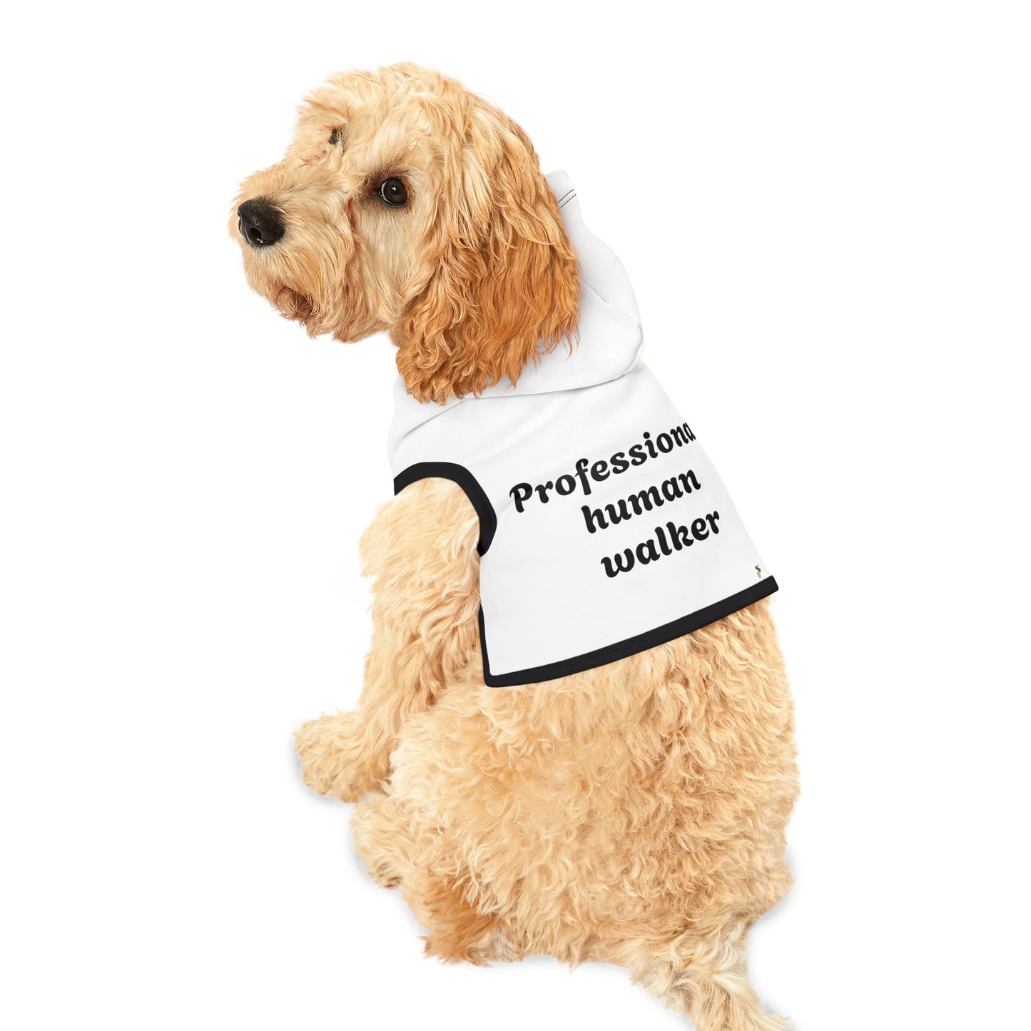 Professional human walker - Pet Hoodie