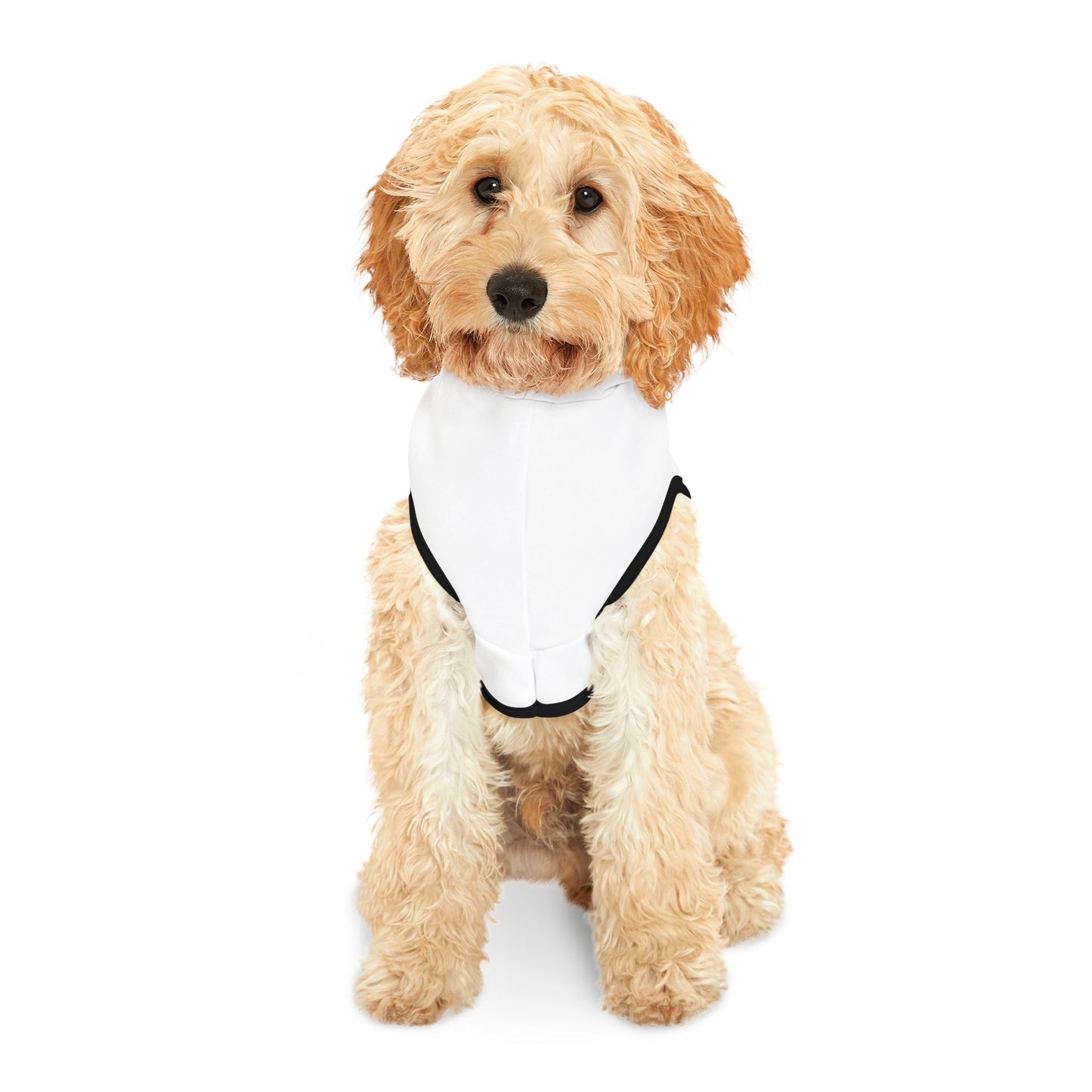 Professional human walker - Pet Hoodie