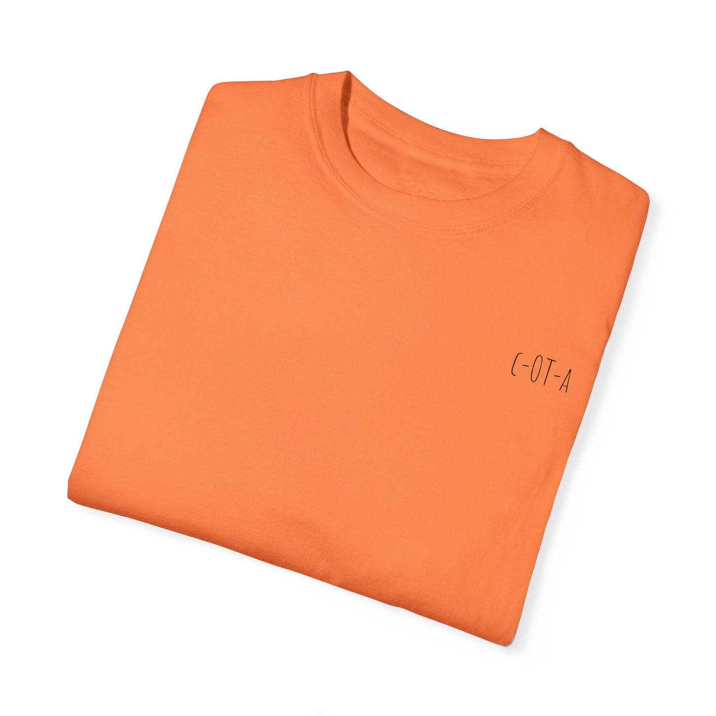 OTA assist - Unisex Garment-Dyed T-shirt