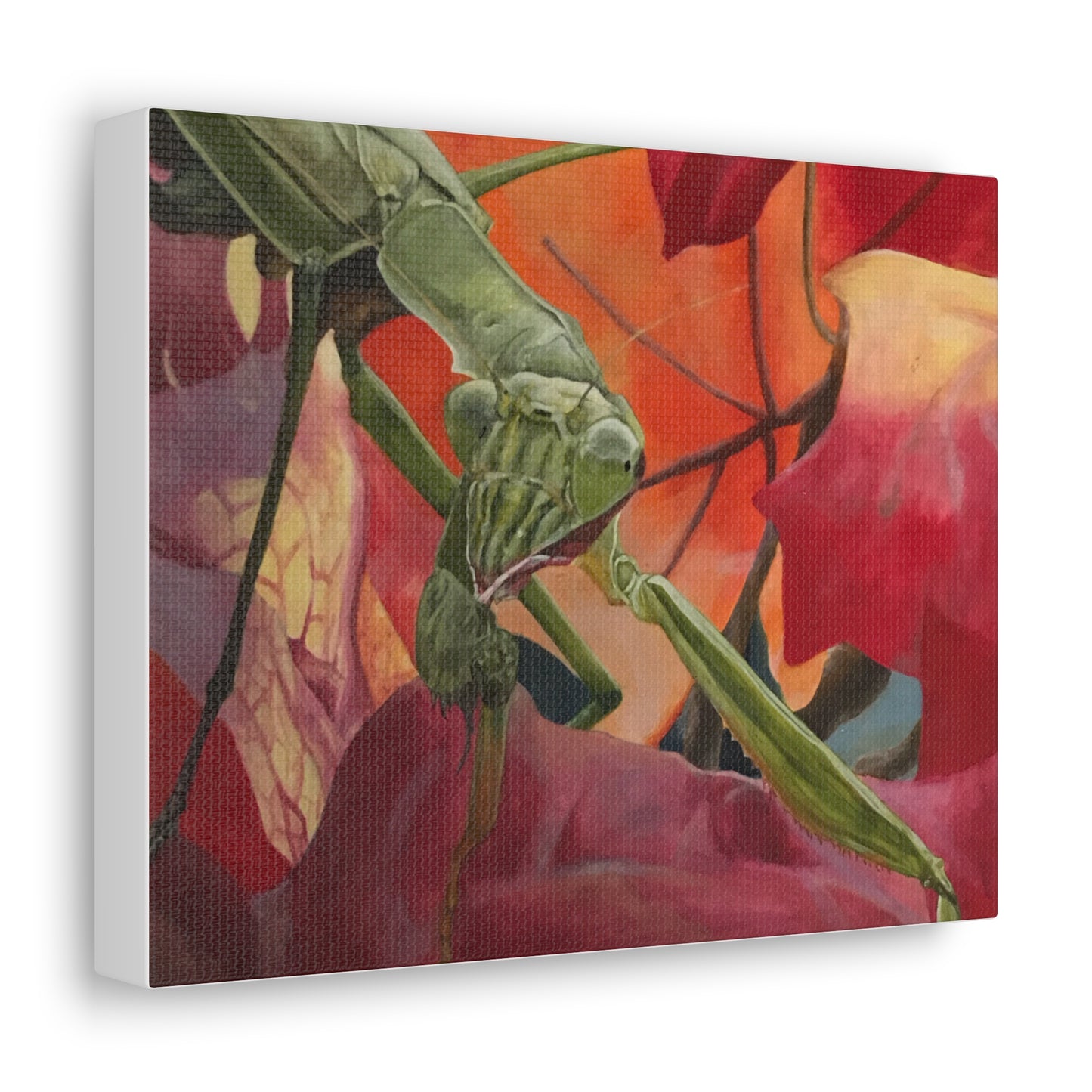 Mantis - Canvas Gallery Wraps