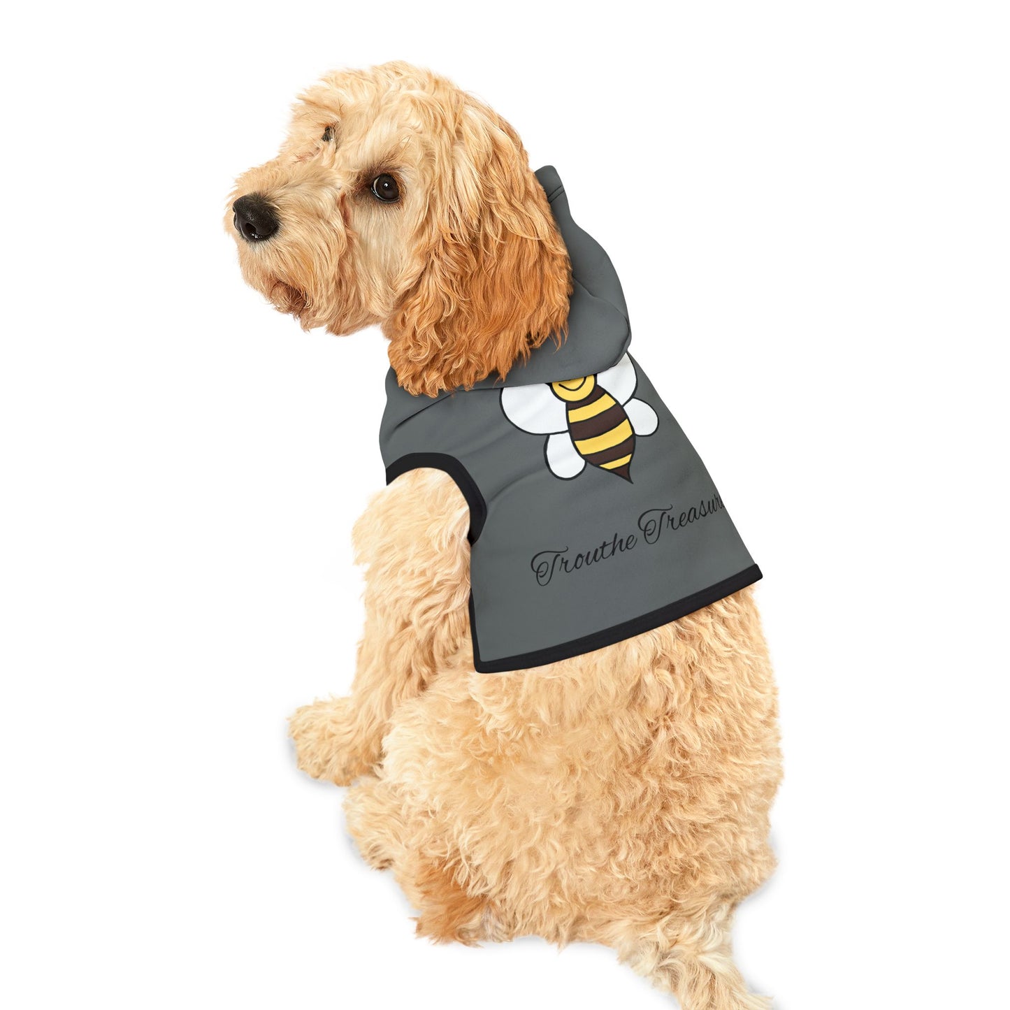 Bee Trouthe Treasure -Pet Hoodie