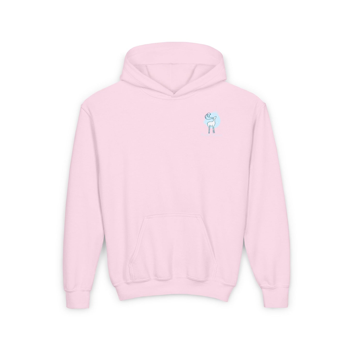 TT Winter 24- Youth Heavy Blend Hooded Sweatshirt