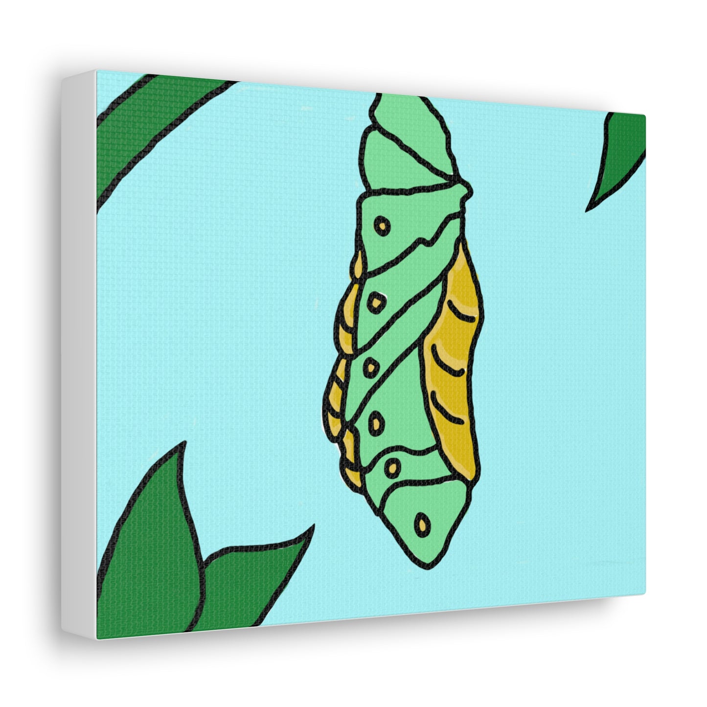Pupa - Canvas Gallery Wraps