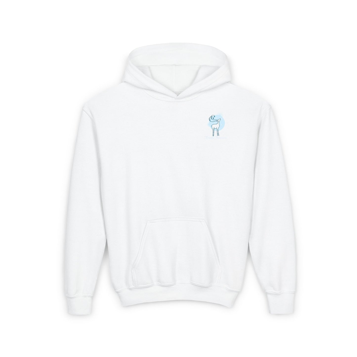 TT Winter 24- Youth Heavy Blend Hooded Sweatshirt