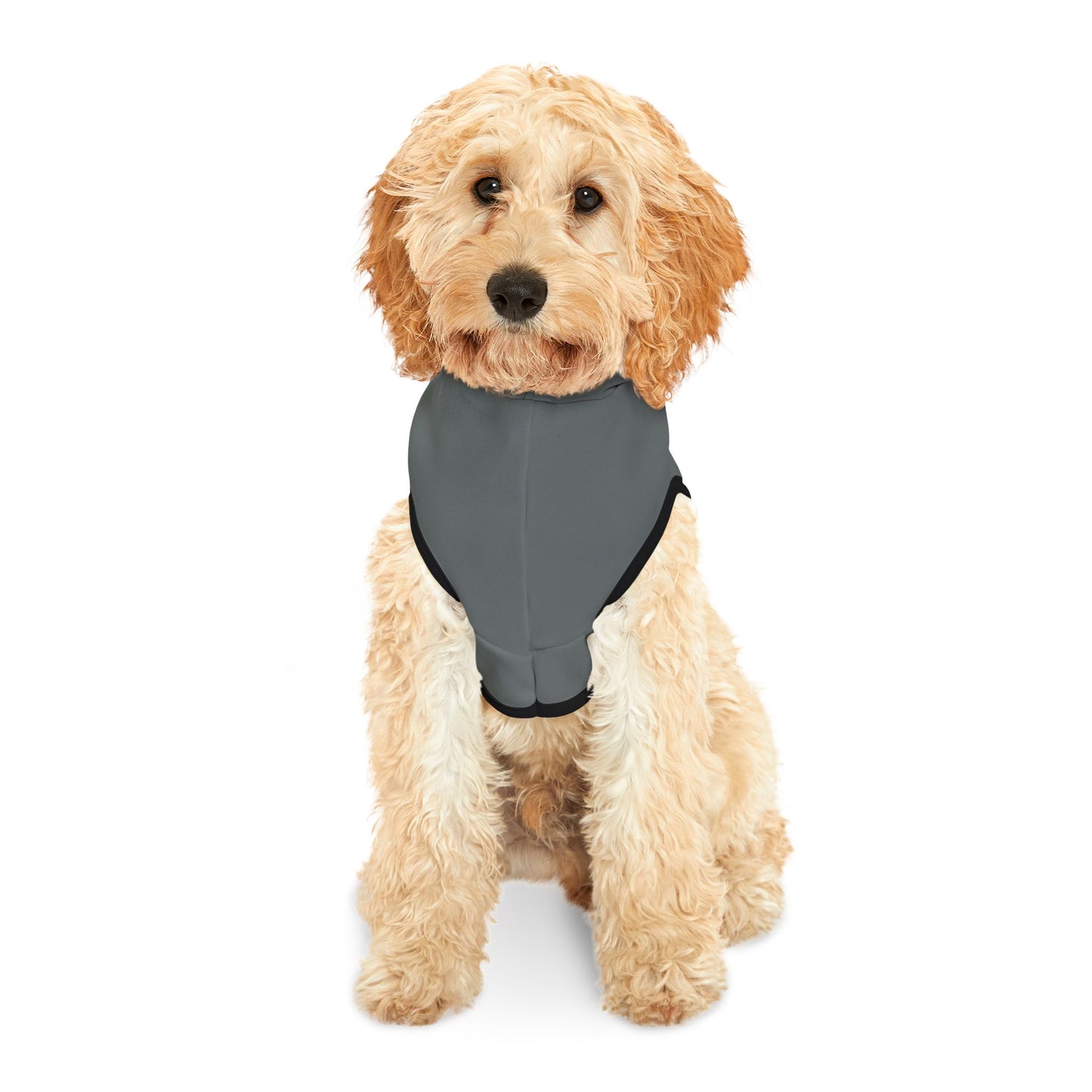 Bee Trouthe Treasure -Pet Hoodie