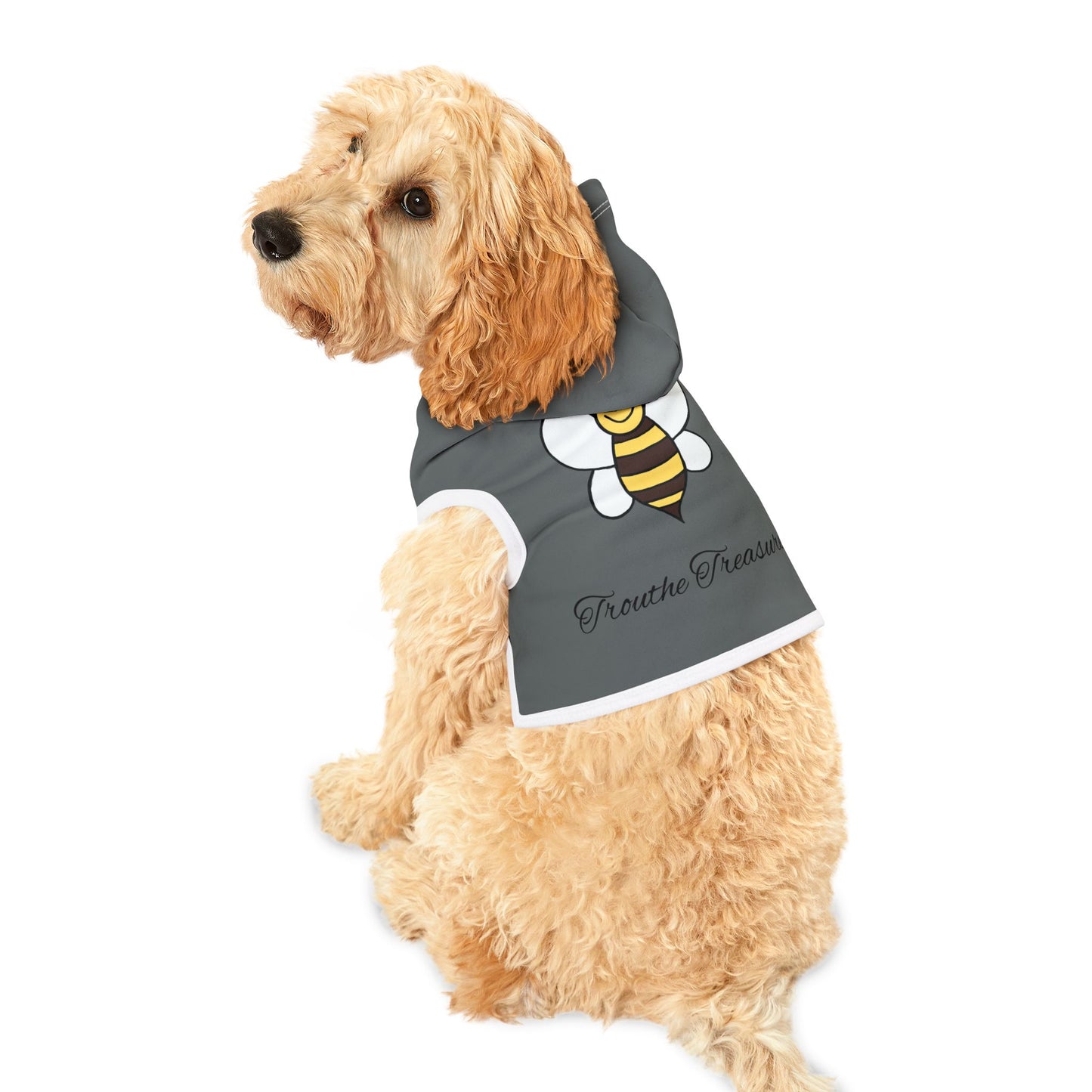 Bee Trouthe Treasure -Pet Hoodie