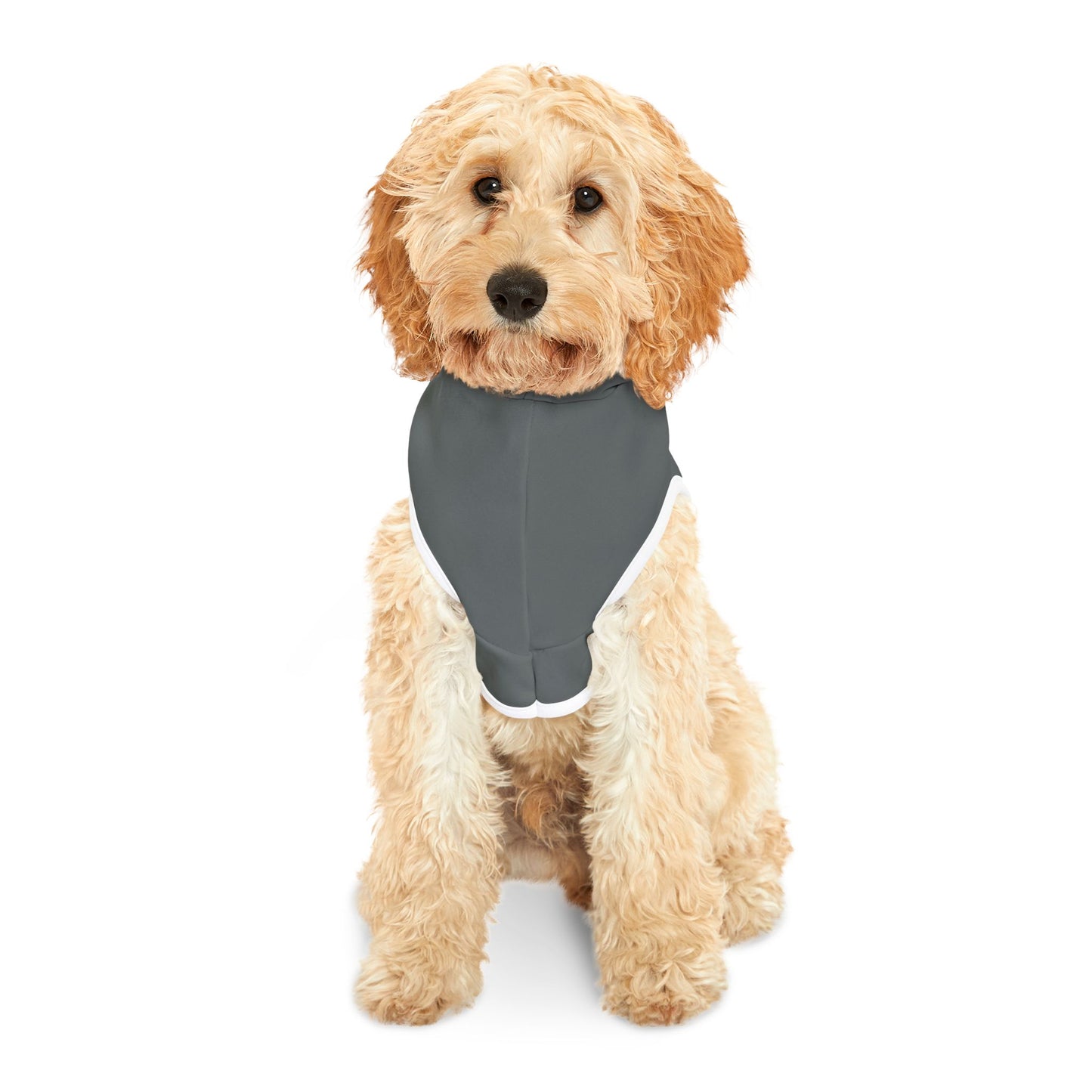 Bee Trouthe Treasure -Pet Hoodie
