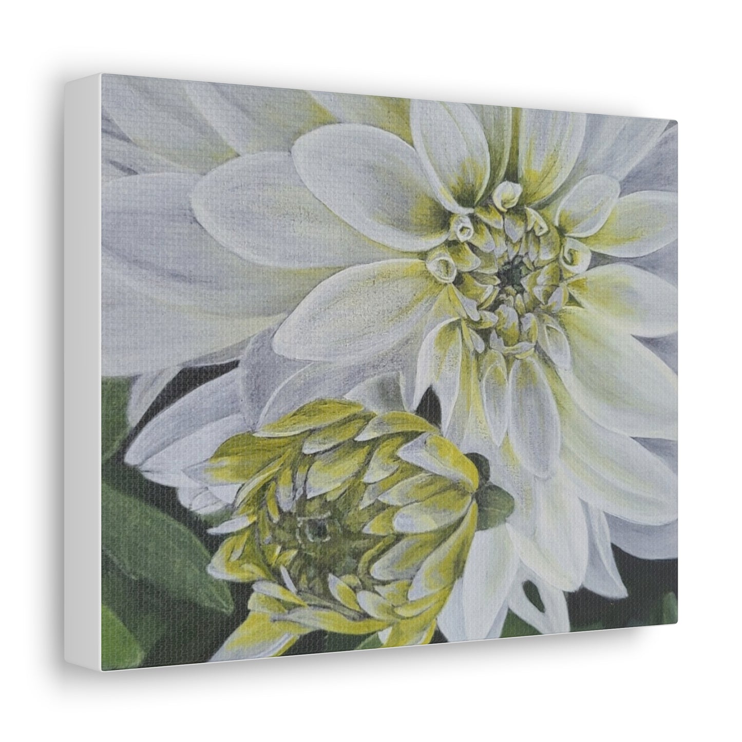 Dalia - Canvas Gallery Wraps